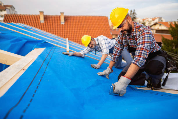 Roof Coating Services in Sheffield, AL